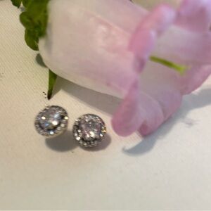 Elegant Silver Stud Earrings